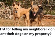 Neighbor Won’t Keep Her Dogs Off A Homeowner’s Property, So He Told Her To Take Care Of Them Or He’ll Call The Police