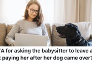 A Dad Discovered The Girl Babysitting For Him Brought A Dog Into His House Without Permission, So He Kicked Her Out And Refused To Pay Her