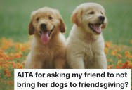 Host Remembers A Friend’s Dog Ruined Their Last Friendsgiving, So She Bans Pets This Year And the Dog’s Owner Melts Down