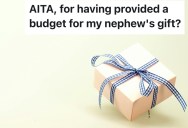 An Aunt Set A $20 Budget For Her Seven-Year-Old Nephew’s Gift, But His Mother Called It Ridiculous And Reignited Long-Standing Family Tension