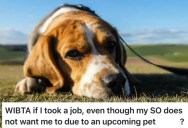 Girlfriend Considers Taking A Better-Paying Job Over The Holidays, But Boyfriend Begs Her To Stay Home Because His Dog Is Near The End