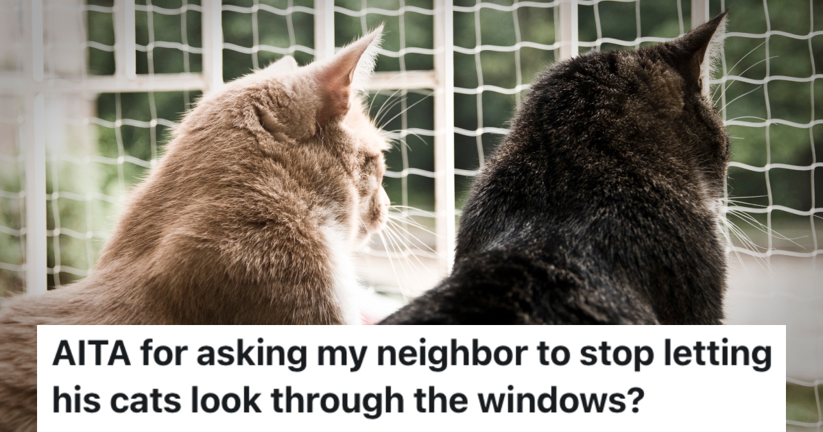 two cats looking out a window