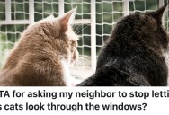 A Homeowner Asked Her Neighbor To Keep His Cats From Sitting In The Windows Because It Drives Her Dog Crazy