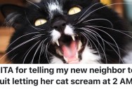 New Apartment Neighbor’s Cat Screams In The Middle Of The Night, So He Got Fed Up And Complained To Her About It