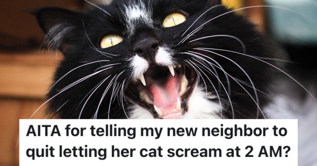 cat letting out a big meow