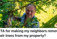 A Homeowner Doesn’t Get Along With Their Neighbors, But Then They Found Out They Mistakenly Planted Trees On Their Property