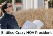 Homeowner Refused To Bow To The HOA President, And One Legal Reality Check Brought The Entire Thing Crashing Down