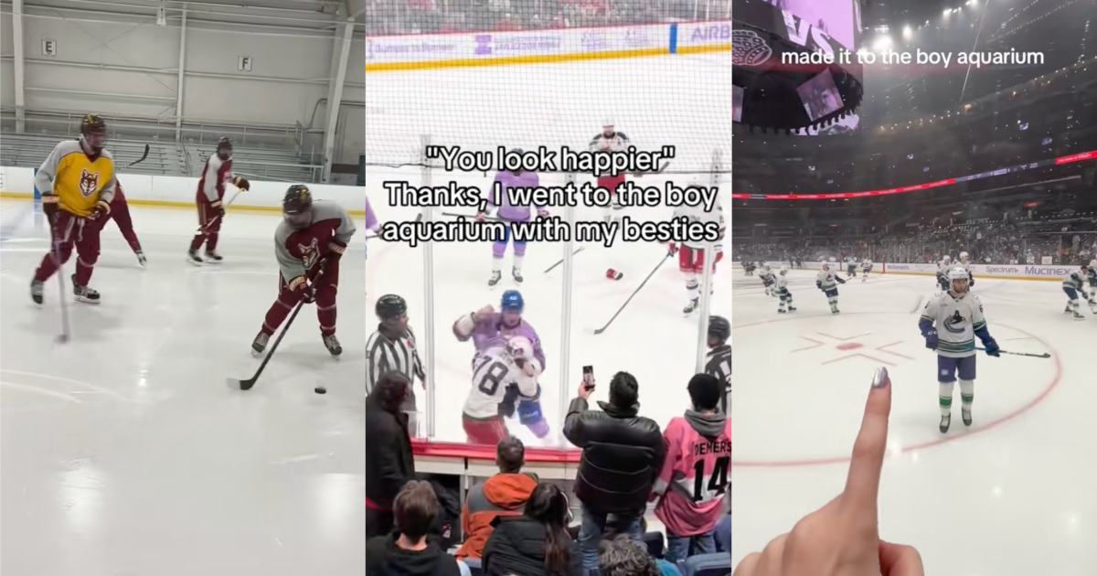 people watching ice hockey