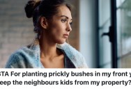 Neighbor’s Children Keep Bothering A Homeowner While They’re Working From Home, And Now They’re Thinking About Planting Prickly Bushes To Keep Them Out Of The Yard
