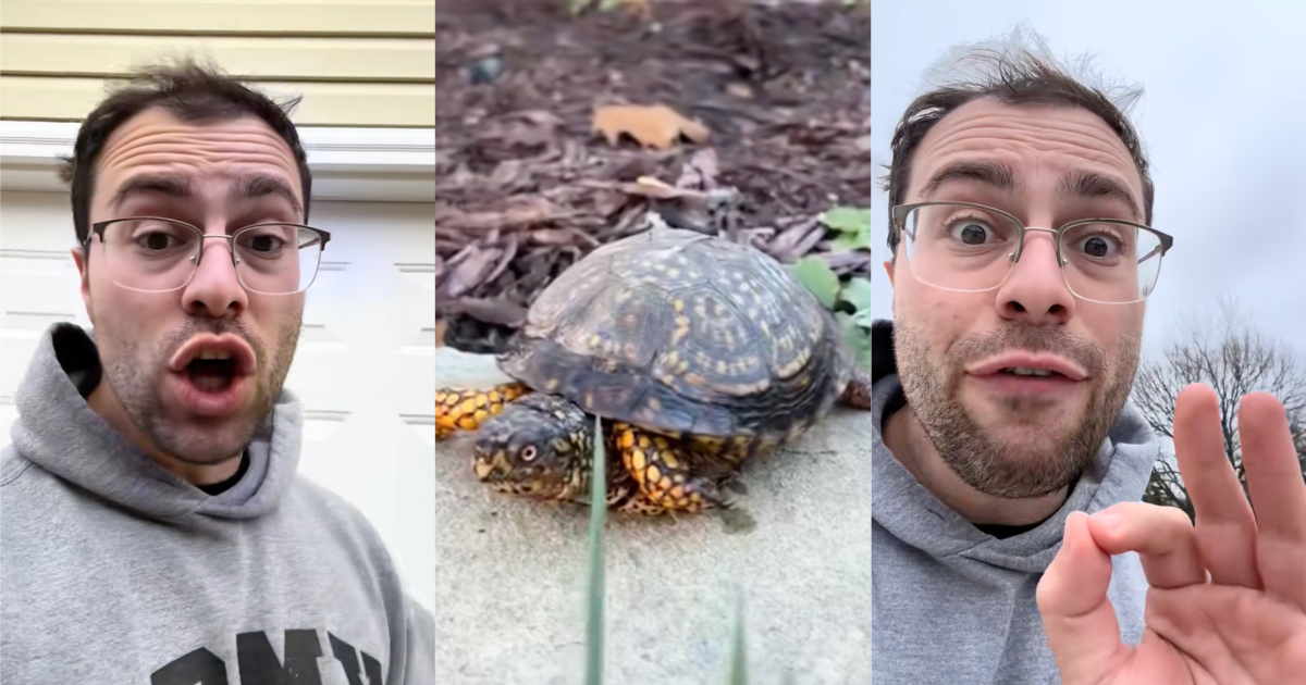 man talking about turtles