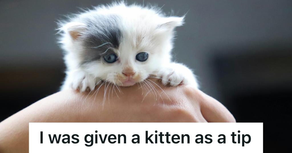 woman holding a cat in her hand