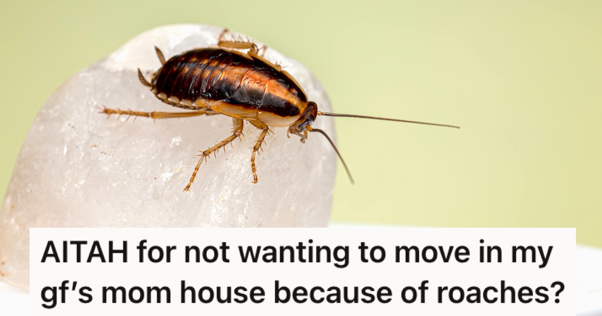 Couple Were Excited To Move Into A Large, Vacant Home On Family Rates, But When They Arrived, It Was Clear Why Their Family Had Moved Out A close-up of a roach