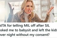 Her Sister-In-Law Was Supposed To Pick Her Kids Up At 6PM, But Still Hadn’t By 7AM The Next Day, And Her Boyfriend And His Family All Lied About It