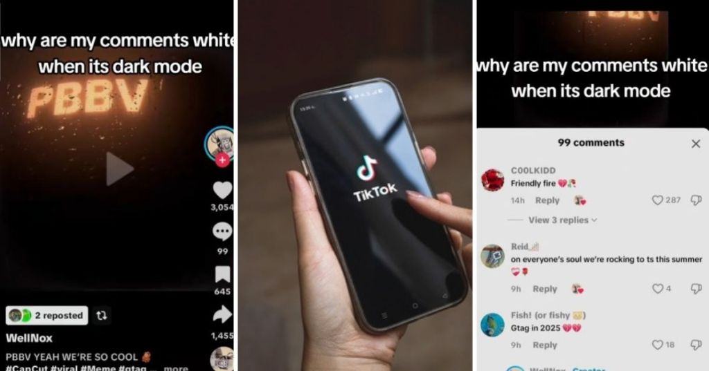 TikTok Dark Mode Issue