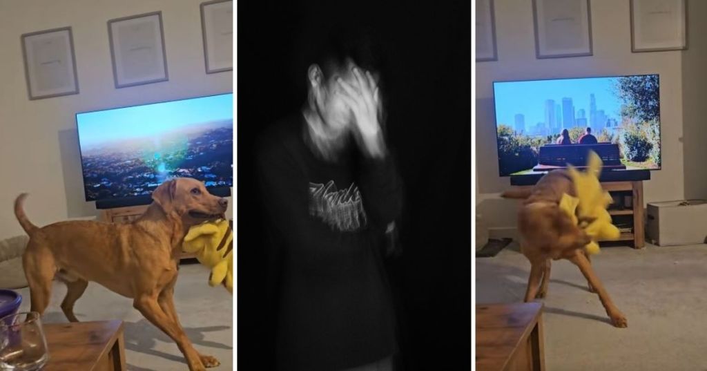 Dizzy dog playing