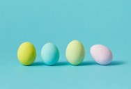 Dinosaur Evolution Is The Reason Behind The Beautifully Colored Eggs Our Bird Species Lay Today