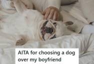 Woman Fostered A French Bulldog Until The Owners Were Located, But Then Her Boyfriend Objected To Bringing The Pooch Over To His Place