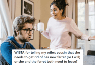 Careless Cousin Brought A Pet While She Was A Stayover Guest At Her Brother-In-Law’s Place, So The Brother-In-Law Wanted Her To Get Rid Of It