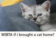 Teen Boy Accepted A Free Kitten At A New Year’s Eve Event Without Asking His Parents First, But He’s Considering Bringing It Home Anyway