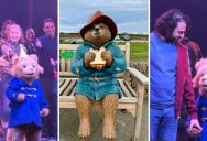 Paddington Bear The Musical Is A Smash Hit, And It’s Easy To See Why Because It Might Be The Cutest Ever