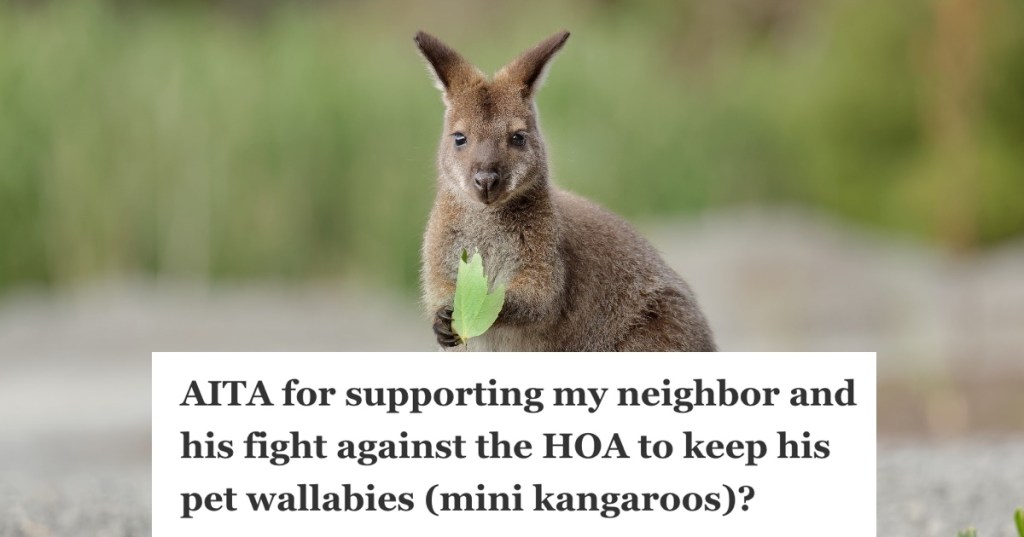 wallaby holding a leaf