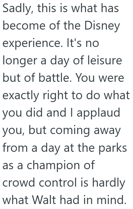 Screenshot 3 5ade89 Woman Was Waiting In Line At Disney World, But An Entire Family Cut In Line Claiming They Forgot Something On The Ride. So She Proved They Were Lying And Got Them Kicked Out.