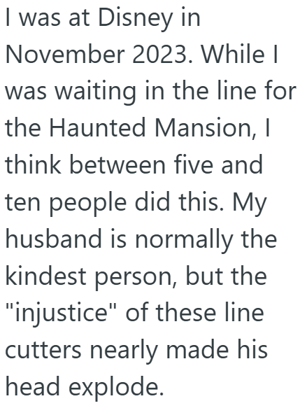 Screenshot 6 519a7f Woman Was Waiting In Line At Disney World, But An Entire Family Cut In Line Claiming They Forgot Something On The Ride. So She Proved They Were Lying And Got Them Kicked Out.