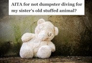 He Accidently Threw Away His Adult Sister’s Old Teddy Bear, So She Demanded That He Go Dumpster Diving To Get It