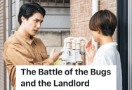 A Tenant Honestly Answers A Neighbor’s Question About Bugs In His Apartment, But The Landlord Has A Huge Problem With That