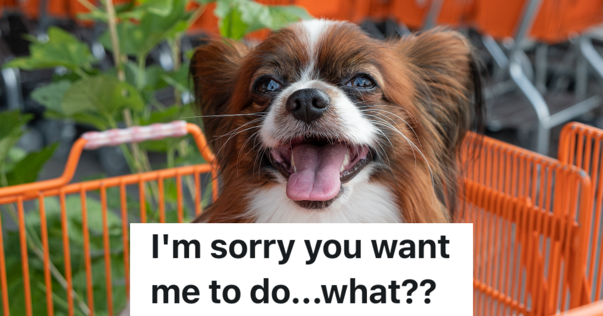 papillon dog in shopping cart