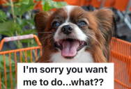 Gas Station Employee Is Mistaken For A Grocery Store Employee, So He Ends Up Going To A Different Grocery Store