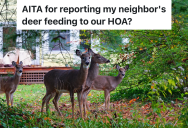 HOA Has Strict Rules About Not Feeding The Deer, So One Homeowner Reports His Neighbor For Breaking This Rule