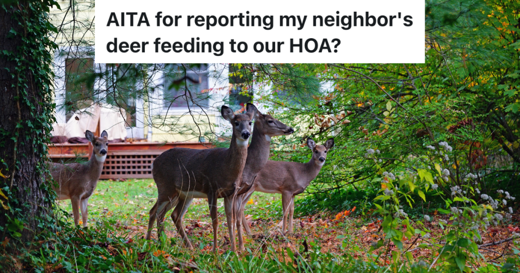 four deer in suburban backyard