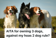 Homeowners In HOA Own Three Dogs, But Since Two Of The Dogs Looks Similar, They Told The HOA They Only Own Two