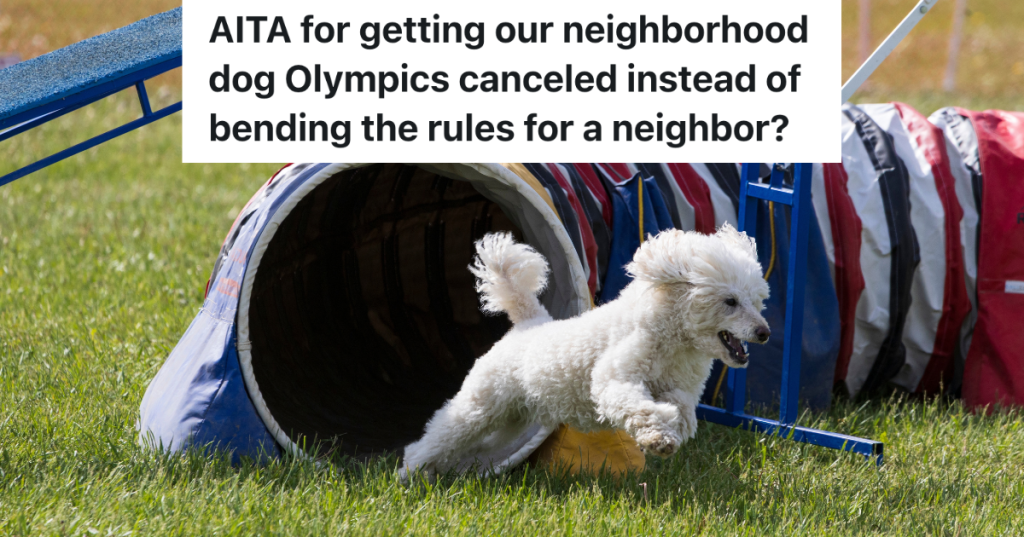 Action shot of a small poodle dog running out of a tunnel while competing on an outdoor dog agility course
