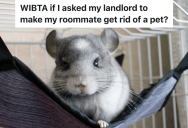 Woman Is Allergic To Her Roommate’s New Pet, So She’s Thinking About Telling The Landlord They’re Over The Limit