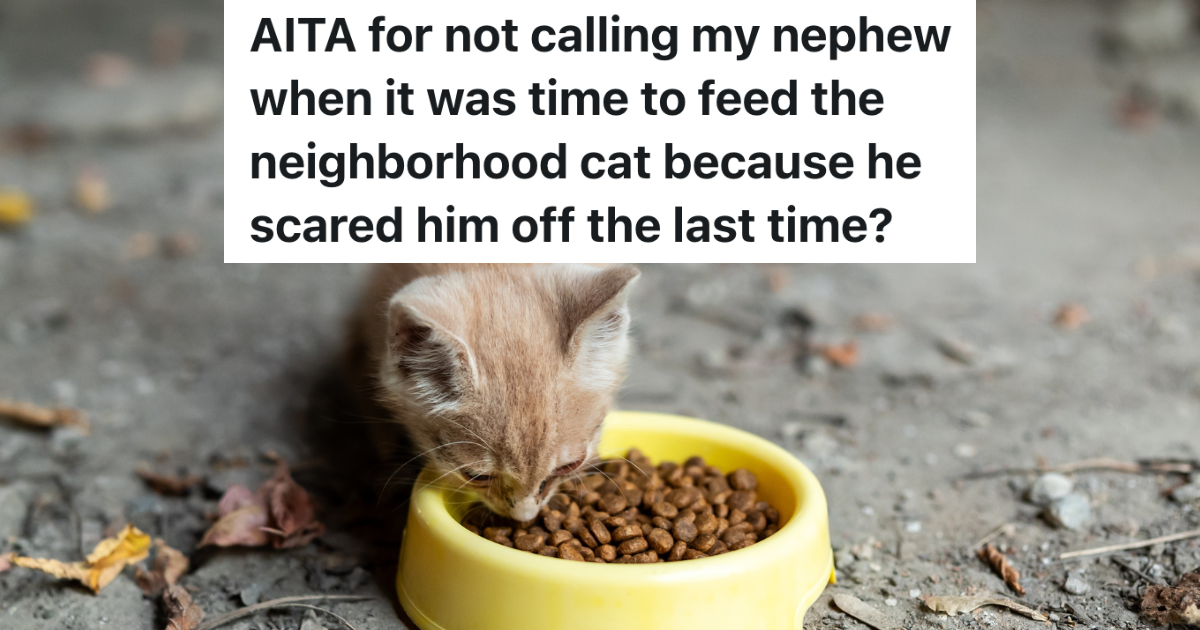 Couple Starts Leaving Food Out For Neighborhood Cat, But Their Nephew Accidentally Scares Kitty Away orange and white cat eating from yellow bowl