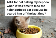 Couple Starts Leaving Food Out For Neighborhood Cat, But Their Nephew Accidentally Scares Kitty Away