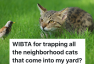 Homeowner Is Upset That Neighborhood Cats Are Snagging Birds, So She’s Thinking About Taking The Cats To An Animal Shelter