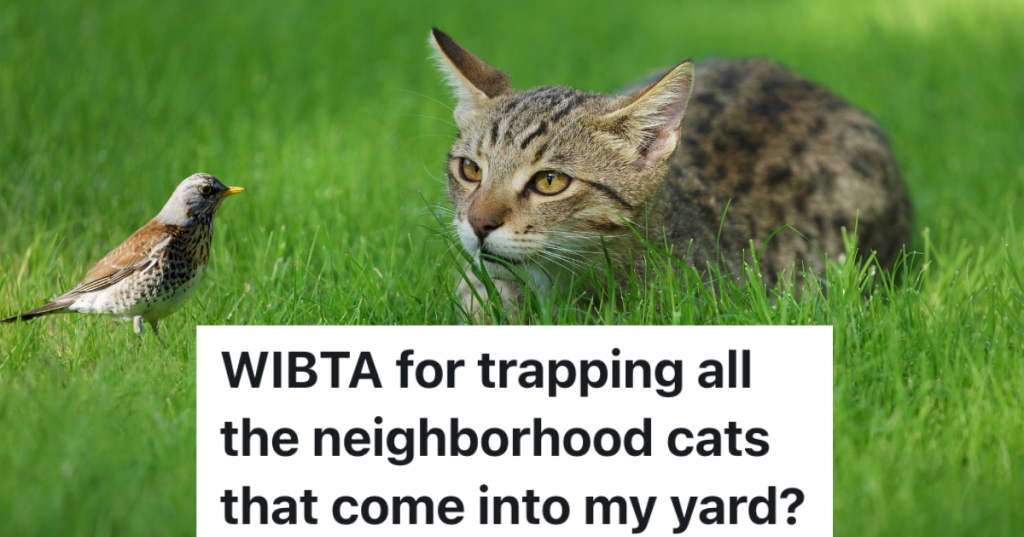 cat hunting a bird in the grass