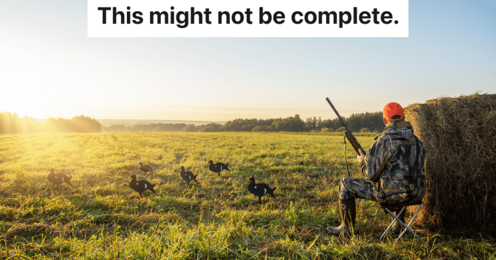 Hunter in camouflage