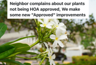 Homeowner Complains That Neighbor Planted Bushes That Weren’t Approved By The HOA, So They Plant Palm Trees Instead