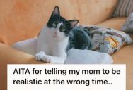 Her Mom Reupholstered The Furniture Despite Having A Playful Cat, So This Woman Got Blamed For Not Controlling Their Pet’s Behavior