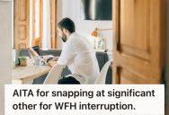 Employee Worked From Home And Set Clear Boundaries With His Partner, So He Snapped At Them After Being Interrupted On A Recorded Call