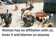 Man Who Worked At A Call Center Assisted A Woman Who Wanted To Adopt A Dog, But He Couldn’t Find Her Details In The System