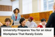 Person Talked About Ideal Workplace Theories Being Taught In Schools, But Real-World Office Practices Offer A Whole Different Experience