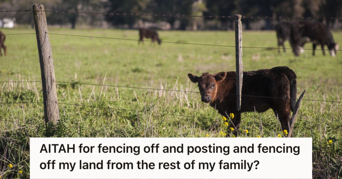 A hug land with fence and calves