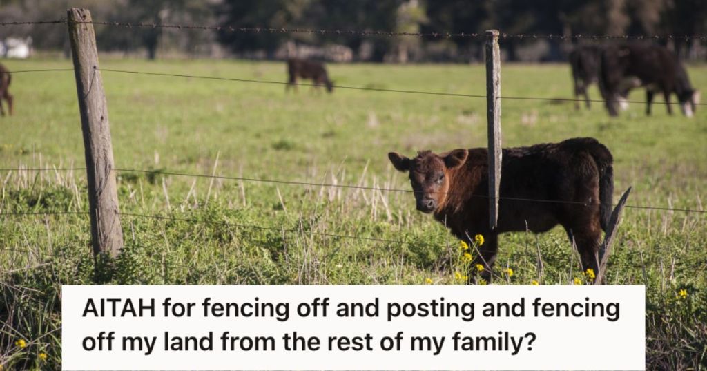 A hug land with fence and calves