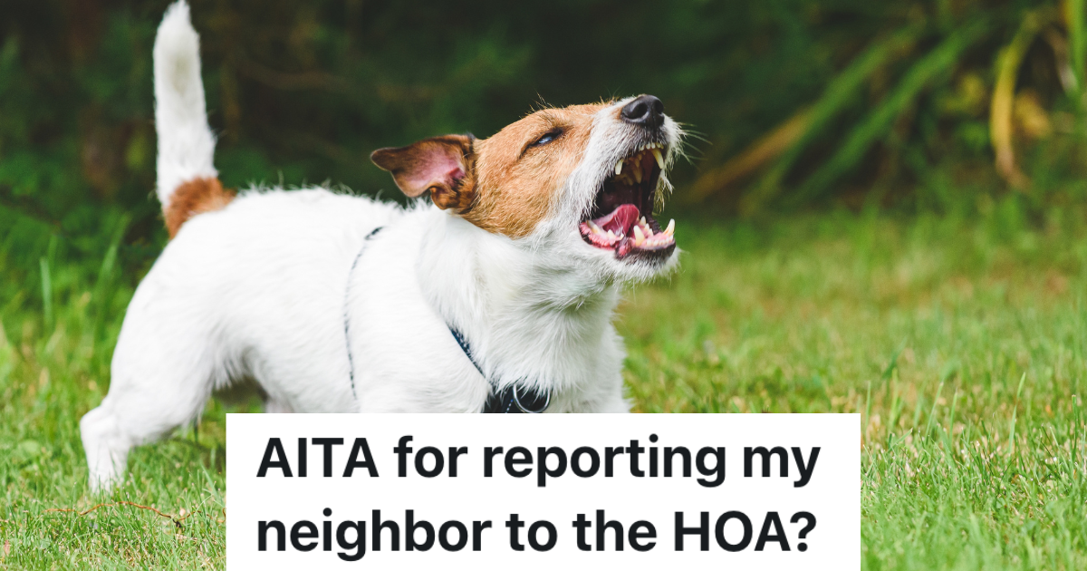 small dog standing in grass howling