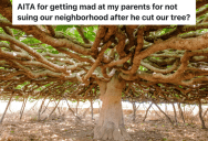 Homeowner Cuts Down Neighbor’s Centenary Fig Tree, And One Young Person Can’t Stop Crying About It